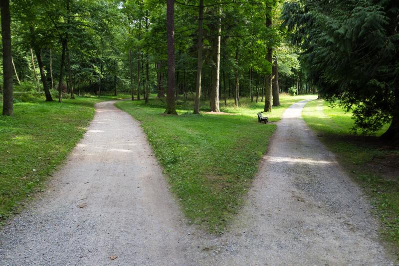 How to Make a Decision Between Two Great Career Paths
